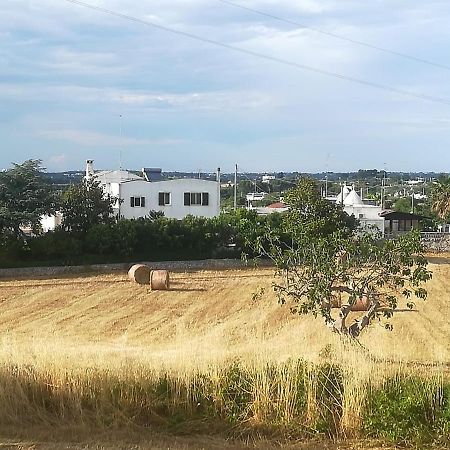 B&B Valle D'Itria มาร์ตินาฟรังกา ภายนอก รูปภาพ