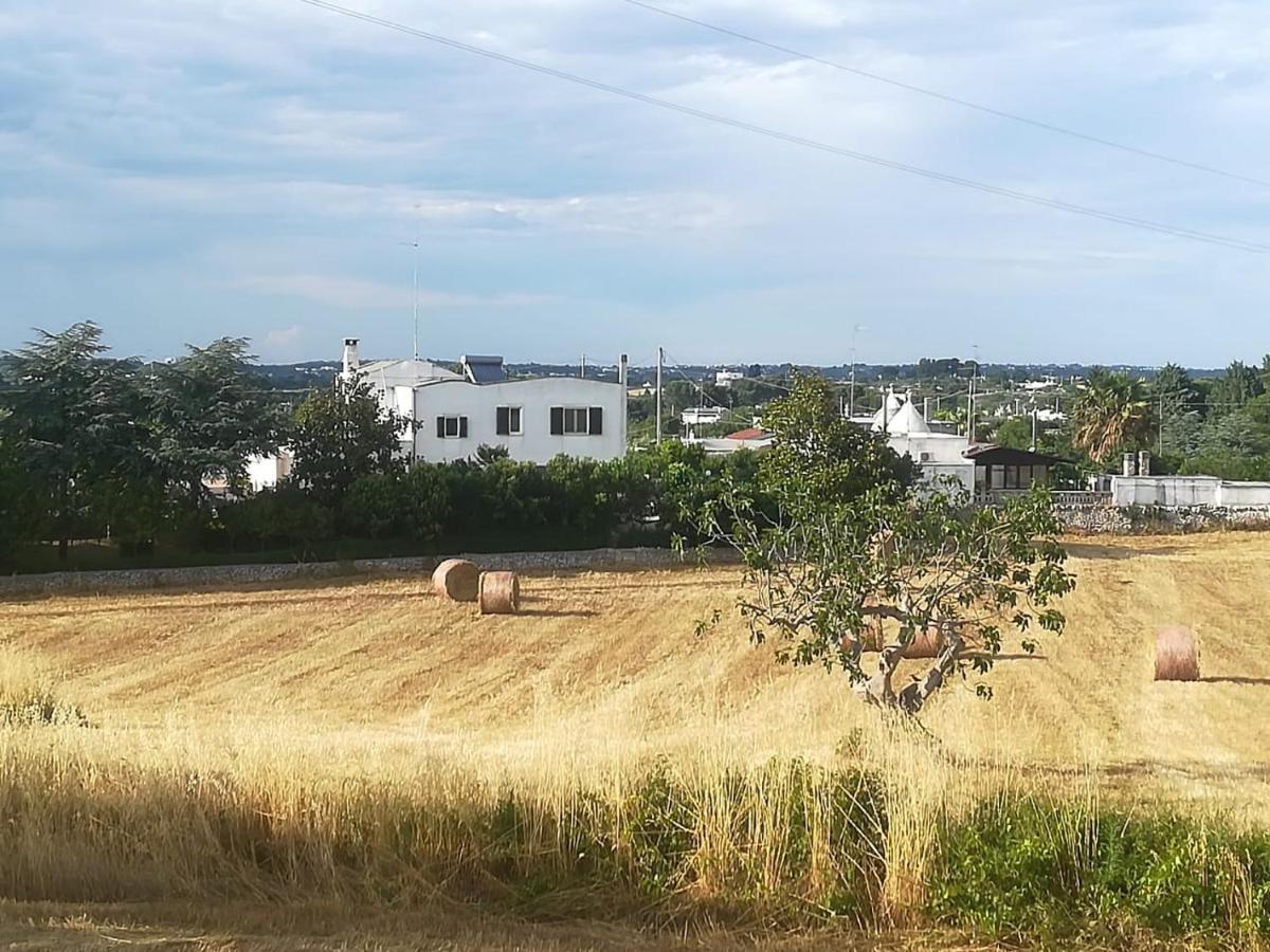 B&B Valle D'Itria มาร์ตินาฟรังกา ภายนอก รูปภาพ