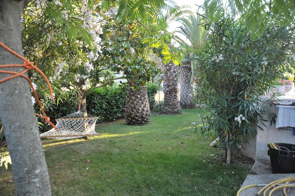 B&B Valle D'Itria มาร์ตินาฟรังกา ภายนอก รูปภาพ