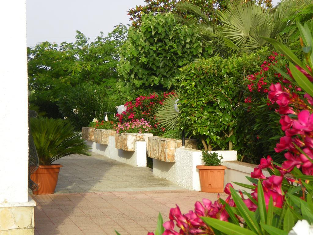 B&B Valle D'Itria มาร์ตินาฟรังกา ภายนอก รูปภาพ
